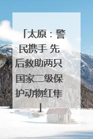 太原：警民携手 先后救助两只国家二级保护动物红隼