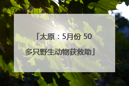 太原：5月份 50多只野生动物获救助