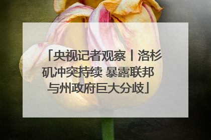 央视记者观察丨洛杉矶冲突持续 暴露联邦与州政府巨大分歧