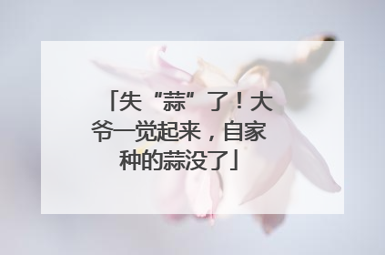 失“蒜”了！大爷一觉起来，自家种的蒜没了