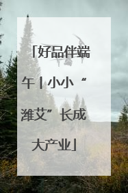 好品伴端午丨小小“潍艾”长成大产业
