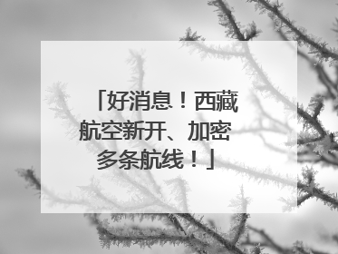 好消息！西藏航空新开、加密多条航线！