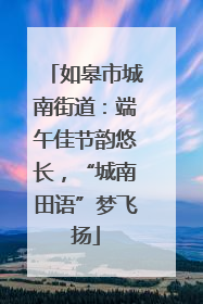 如皋市城南街道：端午佳节韵悠长，“城南田语”梦飞扬