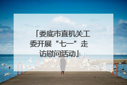 娄底市直机关工委开展“七一”走访慰问活动
