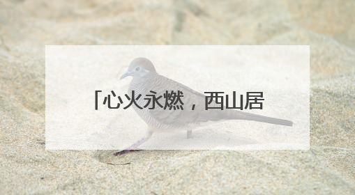 心火永燃，西山居三十而立新启程