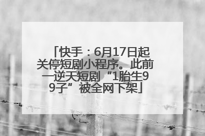 快手：6月17日起关停短剧小程序。此前一逆天短剧“1胎生99子”被全网下架