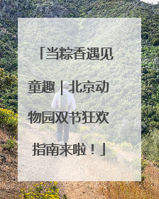 当粽香遇见童趣｜北京动物园双节狂欢指南来啦！
