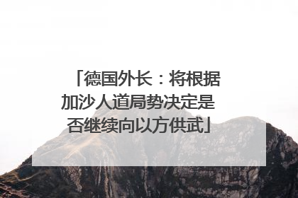 德国外长：将根据加沙人道局势决定是否继续向以方供武