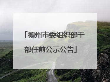 德州市委组织部干部任前公示公告