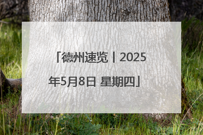 德州速览丨2025年5月8日 星期四