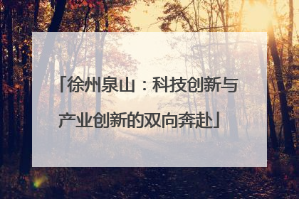 徐州泉山：科技创新与产业创新的双向奔赴