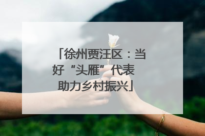 徐州贾汪区：当好“头雁”代表 助力乡村振兴