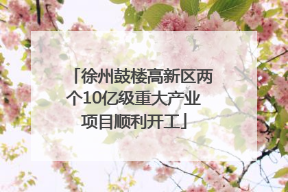 徐州鼓楼高新区两个10亿级重大产业项目顺利开工