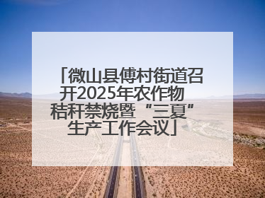 微山县傅村街道召开2025年农作物秸秆禁烧暨“三夏”生产工作会议