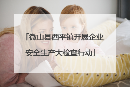微山县西平镇开展企业安全生产大检查行动