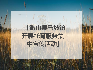 微山县马坡镇开展托育服务集中宣传活动