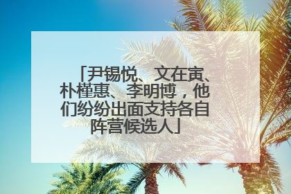 尹锡悦、文在寅、朴槿惠、李明博，他们纷纷出面支持各自阵营候选人