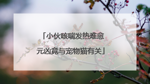 小伙咳喘发热难愈 元凶竟与宠物猫有关