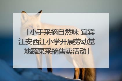 小手采摘自然味 宜宾江安西江小学开展劳动基地蔬菜采摘售卖活动