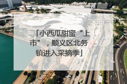 小西瓜甜蜜“上市”，顺义区北务镇进入采摘季