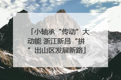 小轴承“传动”大动能 浙江新昌“拼”出山区发展新路