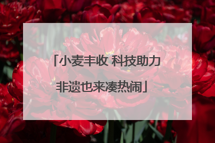 小麦丰收 科技助力 非遗也来凑热闹