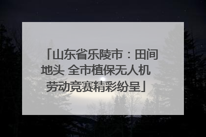 山东省乐陵市：田间地头 全市植保无人机劳动竞赛精彩纷呈