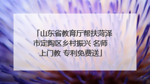山东省教育厅帮扶菏泽市定陶区乡村振兴 名师上门教 专利免费送
