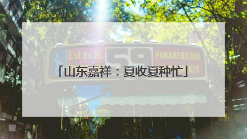 山东嘉祥：夏收夏种忙