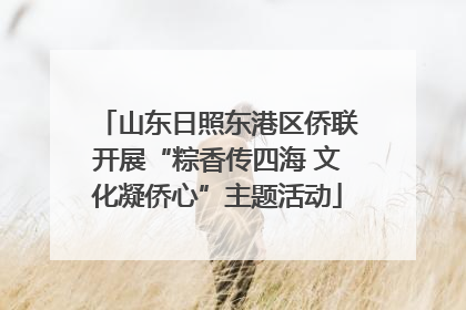 山东日照东港区侨联开展“粽香传四海 文化凝侨心”主题活动