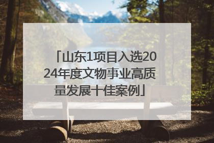 山东1项目入选2024年度文物事业高质量发展十佳案例