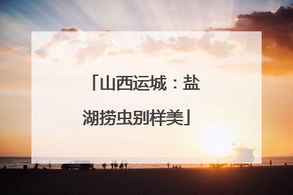 山西运城：盐湖捞虫别样美