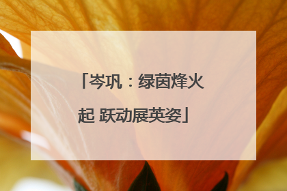 岑巩：绿茵烽火起 跃动展英姿