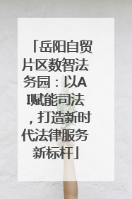 岳阳自贸片区数智法务园：以AI赋能司法，打造新时代法律服务新标杆