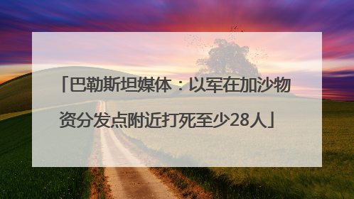 巴勒斯坦媒体：以军在加沙物资分发点附近打死至少28人