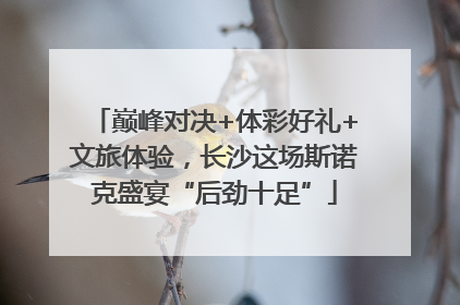 巅峰对决+体彩好礼+文旅体验，长沙这场斯诺克盛宴“后劲十足”