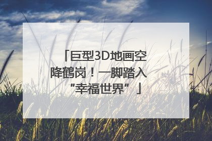 巨型3D地画空降鹤岗！一脚踏入“幸福世界”