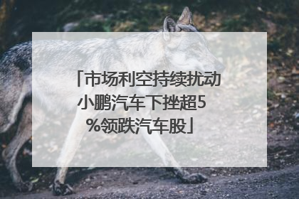 市场利空持续扰动 小鹏汽车下挫超5%领跌汽车股