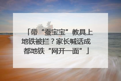 带“蚕宝宝”教具上地铁被拦？家长喊话成都地铁“网开一面”