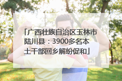 广西壮族自治区玉林市陆川县：3900多名本土干部回乡解纷促和