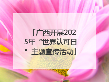 广西开展2025年“世界认可日”主题宣传活动
