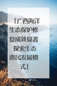 广西海洋生态保护修复成效显著 探索生态惠民发展模式