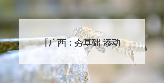 广西：夯基础 添动能｜增发国债气象项目落地见效系列报道
