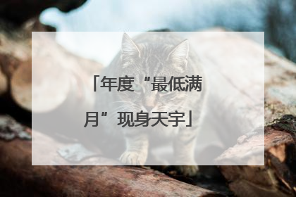 年度“最低满月”现身天宇