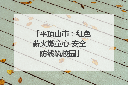 平顶山市：红色薪火燃童心 安全防线筑校园