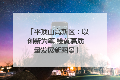 平顶山高新区：以创新为笔 绘就高质量发展新图景