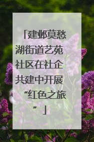 建邺莫愁湖街道艺苑社区在社企共建中开展“红色之旅”