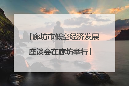 廊坊市低空经济发展座谈会在廊坊举行