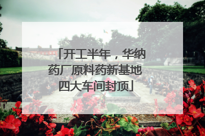 开工半年，华纳药厂原料药新基地四大车间封顶