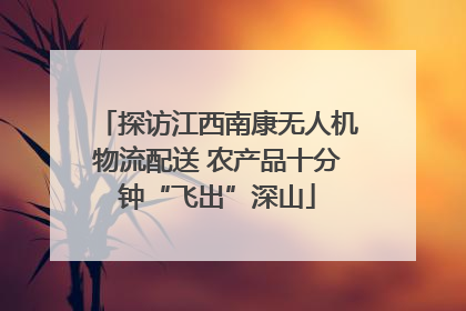 探访江西南康无人机物流配送 农产品十分钟“飞出”深山